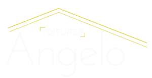 Angelo Toitures Antibes Antibes, Couverture, Entretien / nettoyage de toiture