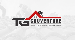 TG COUVERTURE 91 Montlhéry, Couverture, Entretien / nettoyage de toiture
