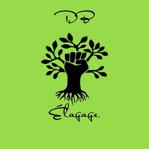 DB elagage  Aix-en-Provence, Abattage, élagage et taille, Jardinage-paysagerie