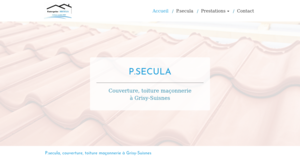 P.secula Freneuse, Couverture, Charpente, Isolation, Maçonnerie d'extérieur, Ravalement de façades