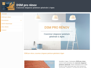DSM pro rénov Agen, Peinture, Entretien / nettoyage de toiture