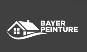 Bayer Peinture Marseille, Peinture, Entretien / nettoyage de toiture