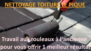 NETTOYAGE TOITURE LE PIQUE Vannes, Entretien / nettoyage de toiture