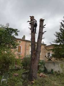 Blondel espace vert  Cabriès, Abattage, élagage et taille