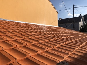 LM couverture couvreur zingueur Nantes, Couverture, Entretien / nettoyage de toiture