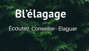 Bl elagage Aix-en-Provence, Abattage, élagage et taille, Entretien de jardin