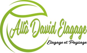 AllôDavid élagage Maucor, Abattage, élagage et taille