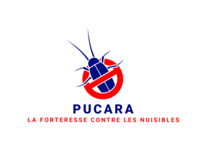 PUCARA NUISIBLES Versailles, Dératisation, désinfection et désinsectisation, Dératisation, désinfection et désinsectisation