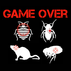 GAME OVER  Amplepuis, Dératisation, désinfection et désinsectisation