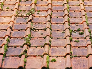 Nouveaux a  Bruay-sur-l'Escaut, Couverture, Couverture