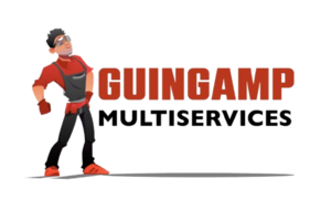 Sébastien Minez Guingamp, Entretien / nettoyage de toiture