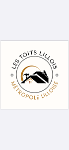 Les toits lillois  Lille, Couverture
