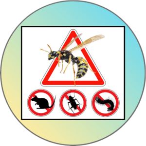 URGENCE Guêpes Frelons NUISIBLES Fleury-les-Aubrais, Dératisation, désinfection et désinsectisation, Entretien de jardin