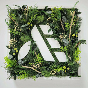 Avenir Eco La Mézière, Artisan du bâtiment, Entretien / nettoyage de toiture