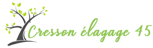 ENT. Cresson élagage 45 Orléans, Abattage, élagage et taille, Jardinage-paysagerie