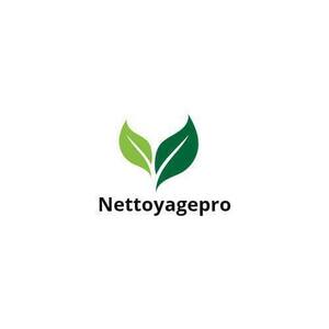 nettoyagepro services Paris 8, Entretien / nettoyage de toiture