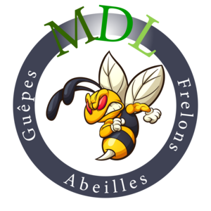 MDL SERVICES NETTOYAGE Lyon, Dératisation, désinfection et désinsectisation