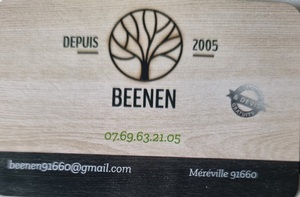 Beenen  Méréville, Entretien / nettoyage de toiture, Abattage, élagage et taille