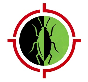 AAZ Nuisibles Aix-en-Provence, Artisan du bâtiment