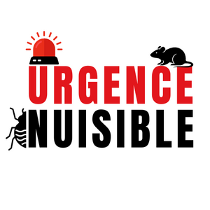 URGENCE NUISIBLE Vincennes, Dératisation, désinfection et désinsectisation
