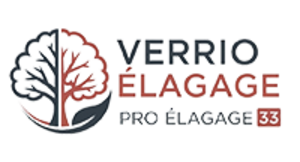 Verrio Elagage Saint-André-de-Cubzac, Abattage, élagage et taille