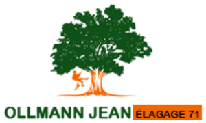 Ollmann Jean Mâcon, Abattage, élagage et taille, Jardinage-paysagerie