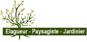 Artisan Buche : Jardinier Élagueur 69 à Mions Mions, Entretien de jardin, Abattage, élagage et taille