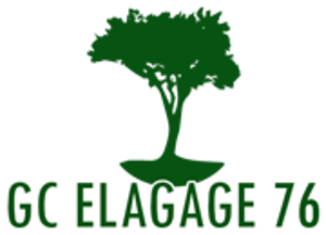 Gc Elagage Monsieur Caseacsch Pavilly, Abattage, élagage et taille