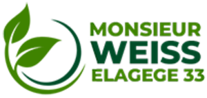 WM élagueur 33 bucheron abattage elagage Mérignac, Abattage, élagage et taille, Jardinage-paysagerie