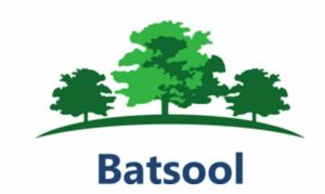 Batsool  Trévérien, Agrandissement et extensions, Charpente, Construction d'abris et pergola en bois, Construction de garage, Construction de maison en bois, Construction de terrasse en bois, Électricité générale, Isolation extérieure, Isolation intérieure