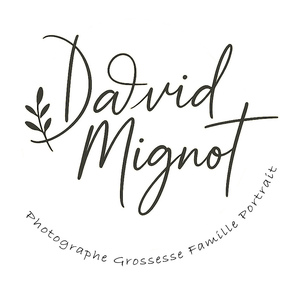 David Mignot Photos Grémonville, Artisan du bâtiment