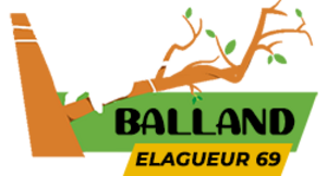 Balland Elagueur 69 Mions, Abattage, élagage et taille
