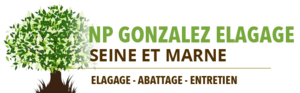 NP Gonzalez Meaux, Entretien d'espaces verts, Abattage, élagage et taille, Jardinage-paysagerie
