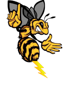 Buzz la Guêpe & Nuisibles Saint-Quentin-des-Isles, Dératisation, désinfection et désinsectisation