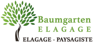 Baumgarten Elagage Chartres, Abattage, élagage et taille, Jardinage-paysagerie