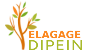 Elagage Dipein Montgeron, Abattage, élagage et taille, Jardinage-paysagerie