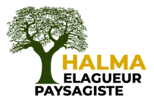 HALMA Genève, Jardinage-paysagerie, Abattage, élagage et taille