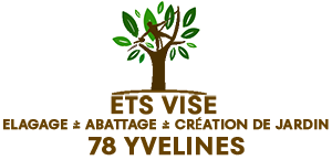 ETS VISE - Élagage abattage paysagiste Yvelines 78 Médan, Abattage, élagage et taille, Jardinage-paysagerie