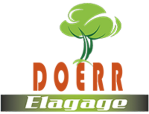 DOERR ELAGAGE Pavillons-sous-Bois, Abattage, élagage et taille, Jardinage-paysagerie