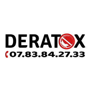 Deratox Lille  Lille, Entretien / nettoyage de toiture