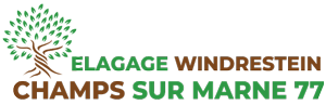Elagage Windrestein Champs-sur-Marne, Abattage, élagage et taille