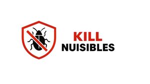 Kill nuisibles Aubagne, Entretien / nettoyage de toiture, Assainissement général, Dératisation, désinfection et désinsectisation