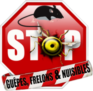 Stop Guêpes, Frelons et Nuisibles Saint-Gaudens, Dératisation, désinfection et désinsectisation, Dératisation, désinfection et désinsectisation