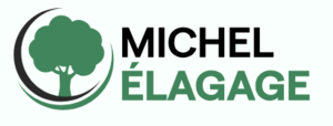 Michel Élagage Orléans Orléans, Abattage, élagage et taille