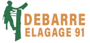 Debarre Elagage La Ville-du-Bois, Abattage, élagage et taille, Entretien d'espaces verts, Entretien de jardin, Jardinage-paysagerie