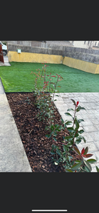 Haccouch elagage  Pertuis, Abattage, élagage et taille, Création et aménagement de jardins