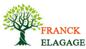 Artisan Franck Élagage Pavillons-sous-Bois, Abattage, élagage et taille, Jardinage-paysagerie