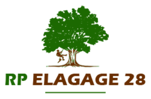 RP Elagage 28 Villiers-le-Morhier, Abattage, élagage et taille