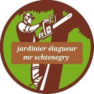 Jardinier élagueur mr schtenegry  Le Plessis-Pâté, Abattage, élagage et taille