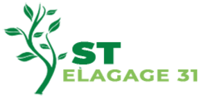 ST Elagage 31 Toulouse, Abattage, élagage et taille